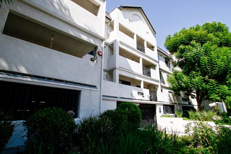 Regents Court Northridge CA